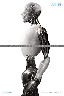 我，机器人2电影海报