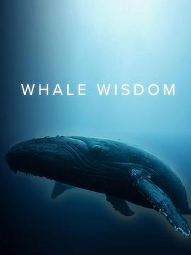 鲸鱼的智慧电影海报