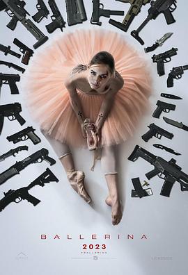 芭蕾女杀手电影海报