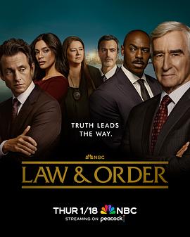 法律与秩序 第二十三季电影海报