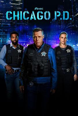 芝加哥警署 第十一季电影海报