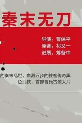 秦末无刀电影海报