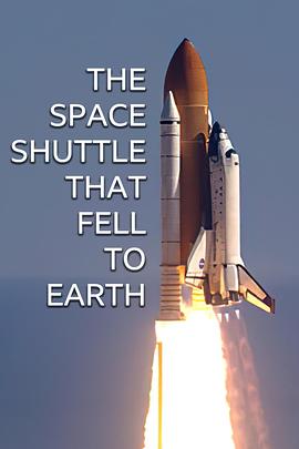 The Space Shuttle That Fell to Earth电影海报