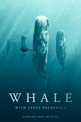 Whale with Steve Backshall Season 1