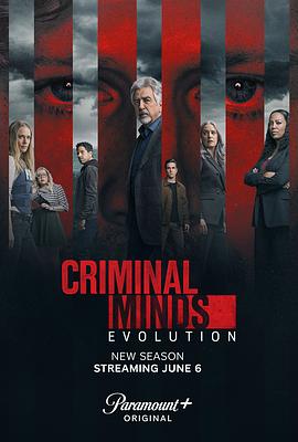 犯罪心理：演变 第十七季电影海报