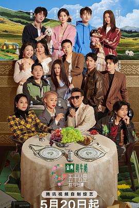 五十公里桃花坞5电影海报