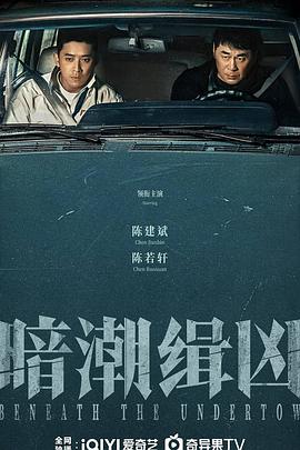 暗潮缉凶电影海报