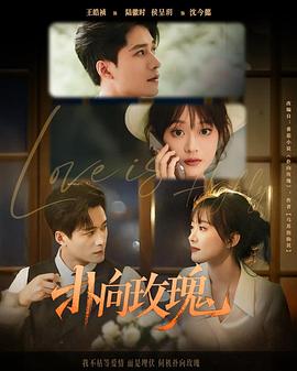 扑向玫瑰电影海报