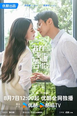 我在顶峰等你电影海报