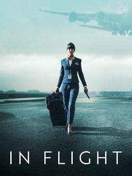 飞航奔逃电影海报