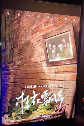 桂花飘乡电影海报