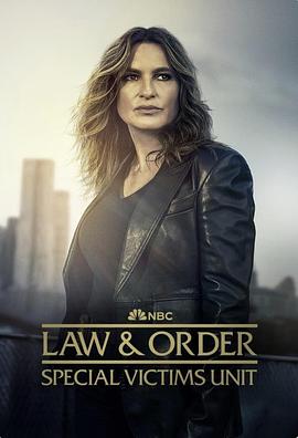 法律与秩序：特殊受害者 第二十七季电影海报