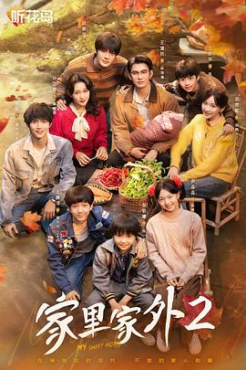 家里家外2电影海报