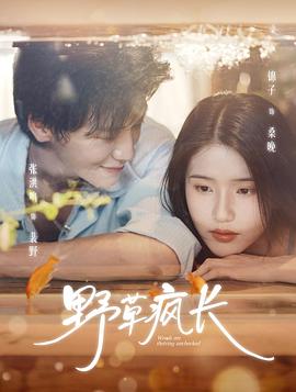 野草疯长电影海报