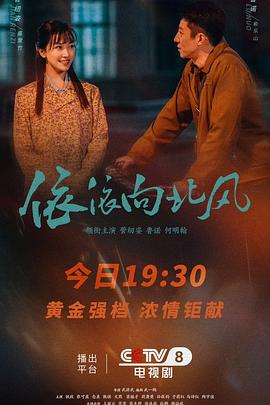 依依向北风电影海报