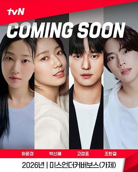 卧底洪小姐电影海报