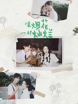 像烟花一样灿烂电影海报