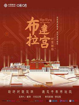 布达拉宫 时空解码电影海报