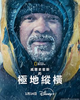 威尔·史密斯的极地纵横电影海报