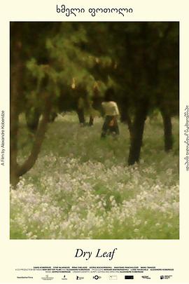 落叶球电影海报