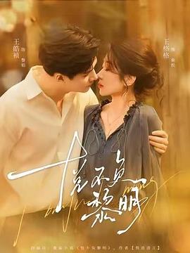 悦不负黎明电影海报