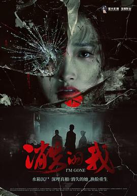 消失的我电影海报