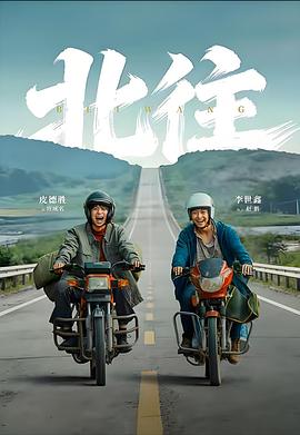 北往电影海报