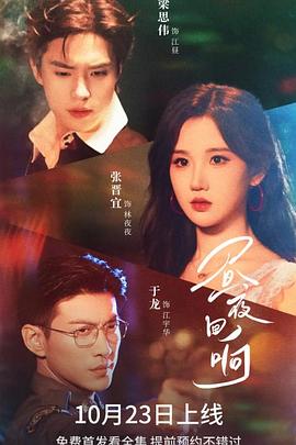 昼夜回响电影海报