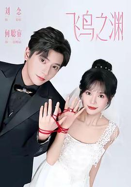 飞鸟之渊电影海报