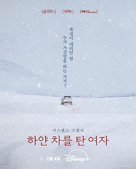 坐白车的女人电影海报