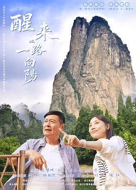 醒来之一路向阳电影海报