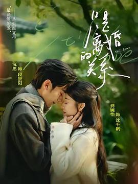 只是离婚的关系电影海报